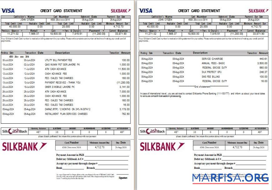 Blank Pakistan Silkbank statement word 2 pages download for verification